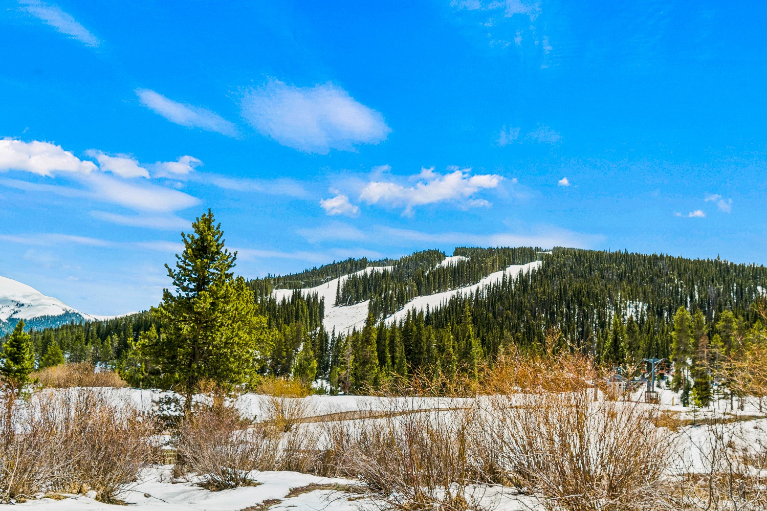Copper Mountain Paffrath & Thomas