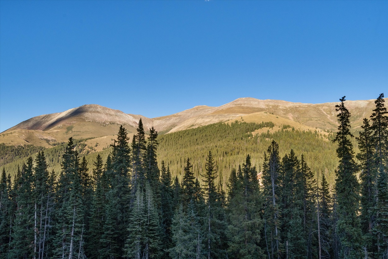 Home Paffrath & Thomas Real Estate Agents in Breckenridge