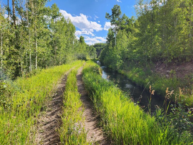 52002 County Rd 8