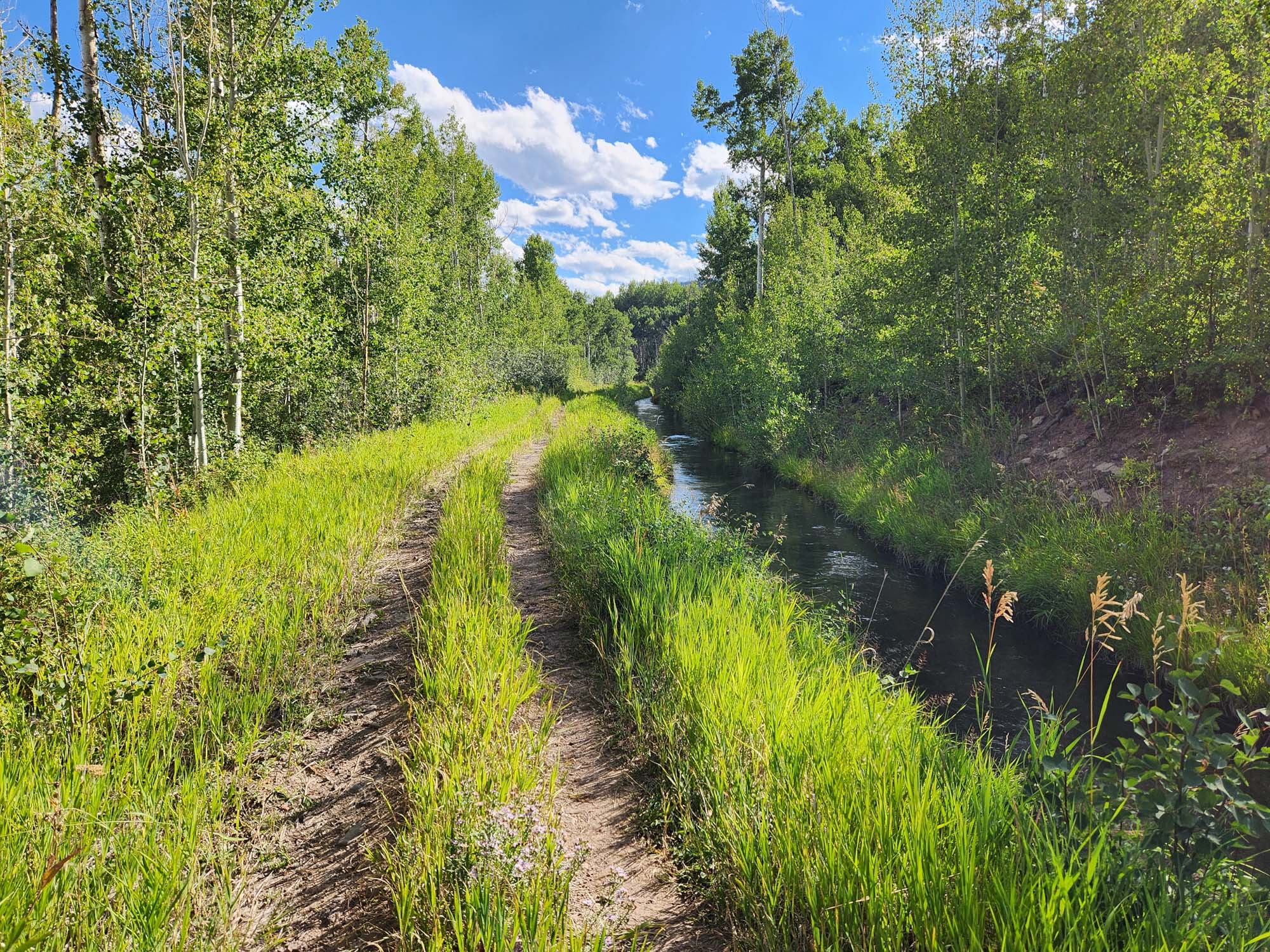 52002 County Rd 8