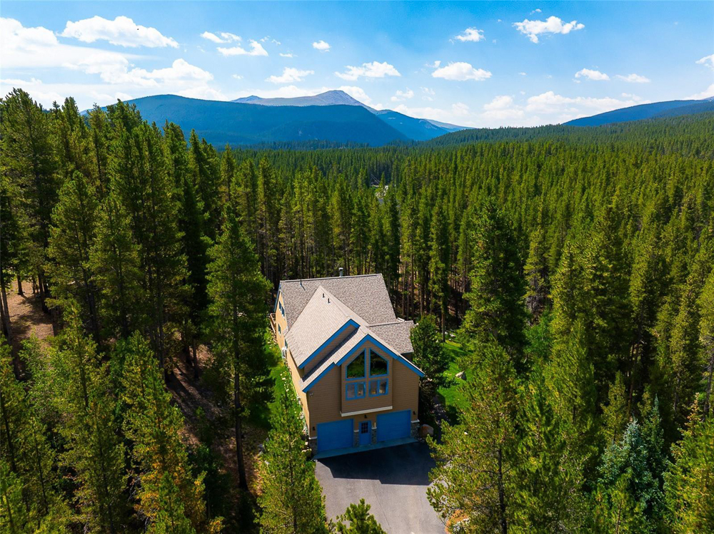 463 Blue Flag Circle