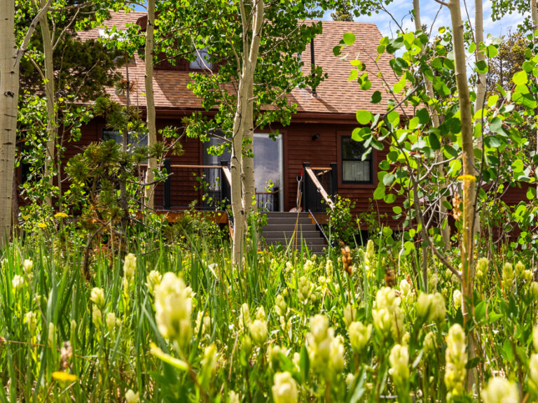 815 Bluestem Way