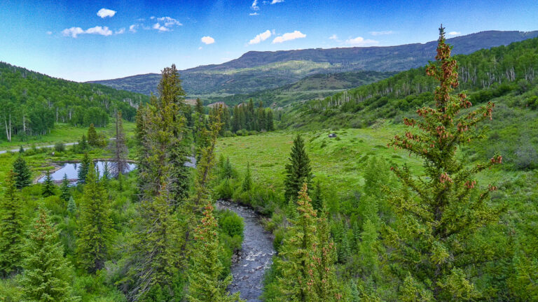 TBD County Road 8
