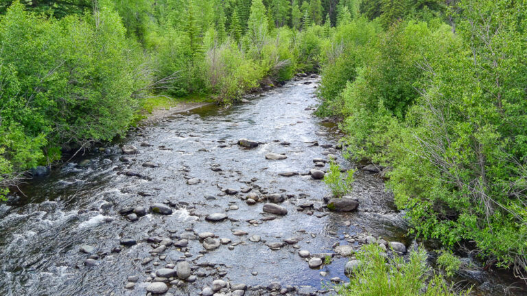 TBD County Road 8