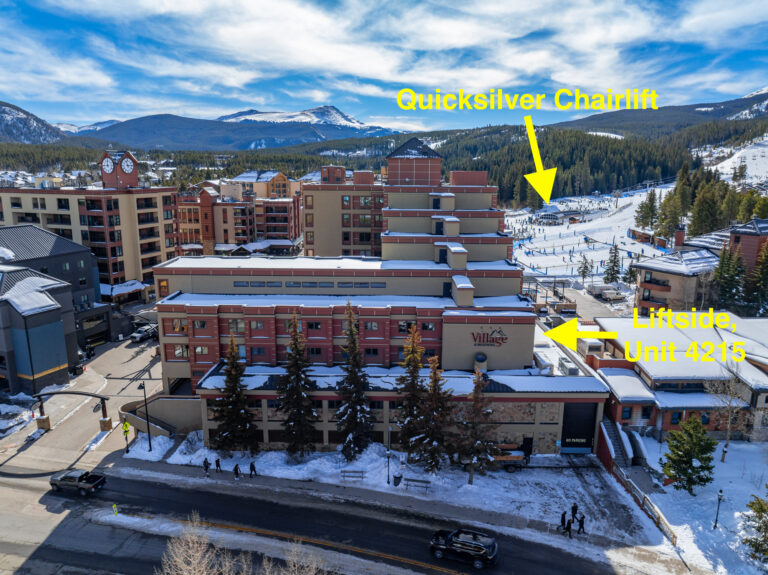 535 S Park Ave Unit 4215