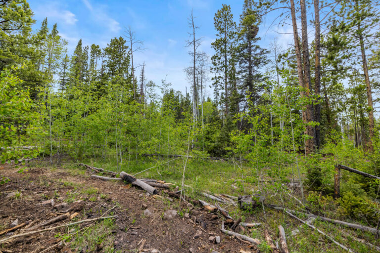 336 Blue Spruce Road