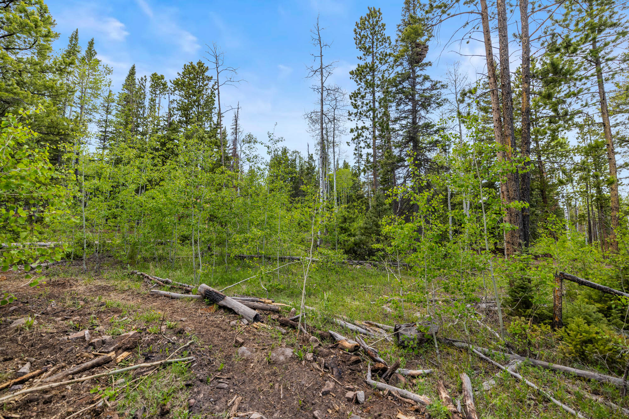 336 Blue Spruce Road